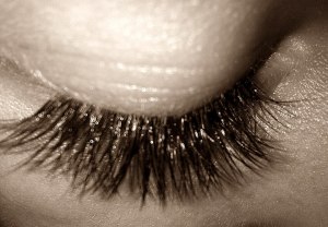 1003109_471128399638285_806613042_n