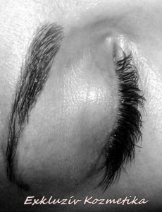 1170695_501702723247519_283687091_n