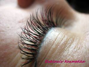 945997_514410861976705_824391607_n